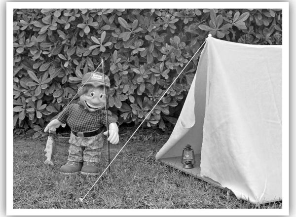 Happy Camper is the main character in Herb Wood New Book, Camping for Beginners.