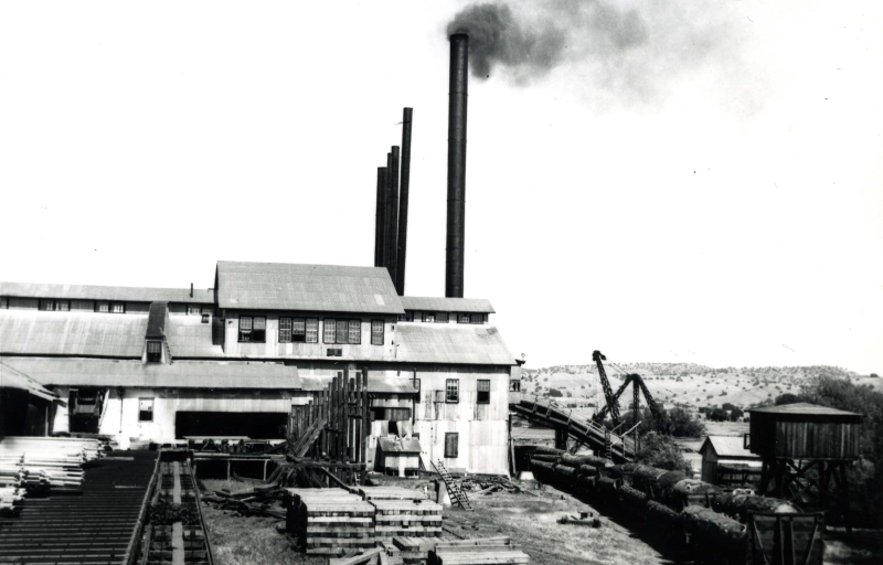 The Yosemite Lumber Company made Merced Falls once again the industrial center of Merced County.